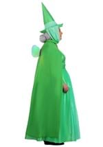 Plus Size Disney Sleeping Beauty Fauna Womens Costume Alt 3