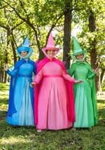 Plus Size Disney Fauna Sleeping Beauty Costume Alt 3