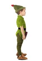 Boys Disney Peter Pan Toddler Costume Alt 3