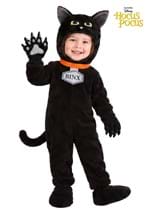 Disney Hocus Pocus Thackery Binx Toddler Costume upd