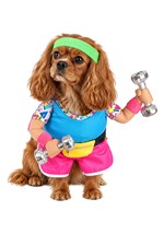 Work Out 1980s Pet Costume Alt 3
