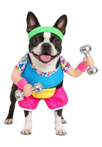 1980s Work Out Pet Costume new