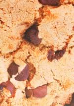 Chocolate Chip Cookie Kids Costume Alt 2
