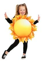 Toddler Sun Costume