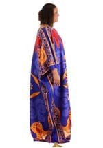 Plus Size Aladdin Magic Carpet Disney Costume Alt 4
