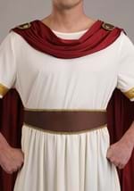 Roman Emperor Mens Costume Alt 4