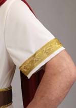 Roman Emperor Mens Costume Alt 6