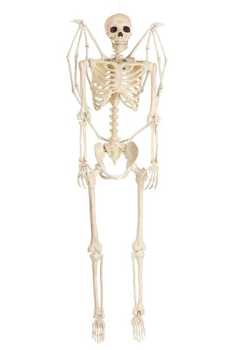 5FT Poseable Winged Skeleton Prop Decoration