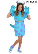 Pixar Monsters Inc Sulley Girls Costume
