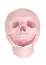 Pastel Pink Skull Decoration Alt 1