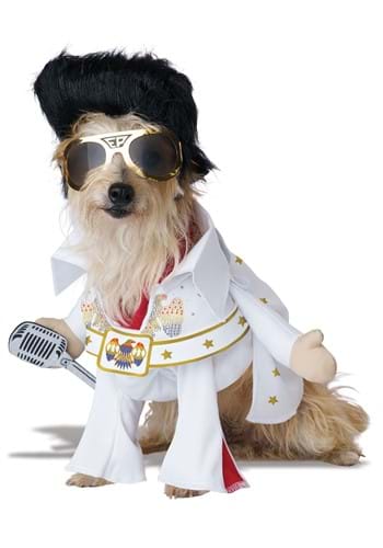 Pet Elvis Viva Vegas Costume