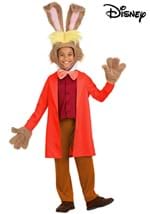 Disney Alice in Wonderland Boys March Hare Costume