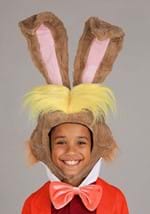 Disney Alice in Wonderland Boys March Hare Costume Alt 4