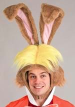 Disney Alice in Wonderland March Hare Mens Costume Alt 4