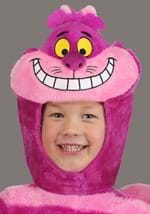 Toddler Disney Cheshire Cat Costume Alt 4