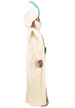 Mens Plus Size Disney Aladdin Sultan Costume Alt 3