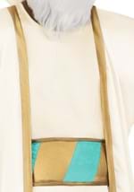 Plus Size Disney Aladdin Sultan Costume Alt 2