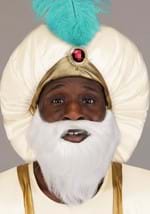 Adult Disney Aladdin Sultan Costume Alt 1