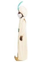 Adult Disney Aladdin Sultan Costume Alt 5