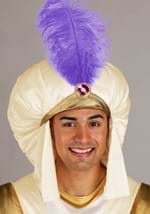 Disney Aladdin Mens Prince Ali Costume Alt 4