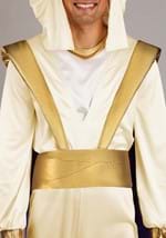Disney Aladdin Mens Prince Ali Costume Alt 5