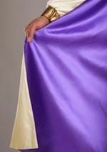 Disney Aladdin Mens Prince Ali Costume Alt 8