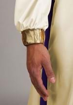Disney Aladdin Mens Prince Ali Costume Alt 7