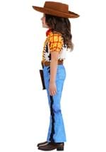 Pixar Toy Story Toddler Woody Costume Alt 2
