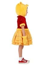 Disney Winnie the Pooh Toddler Costume Dress Alt 3