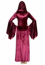 Velvet Hooded Renaissance Maiden Costume Alt 3