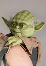 Plus Size Deluxe Star Wars Luke Skywalker w/ Yoda  Alt 2