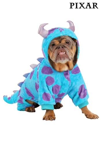 Disney Pixar Pet Sulley Costume