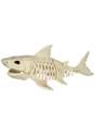 2 Foot Skeleton Shark Decoration