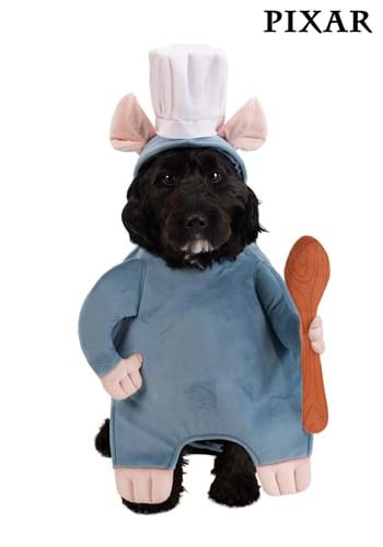 Disney Pixar Pet Remy Costume