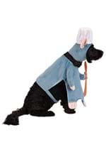 Disney Pixar Pet Remy Costume Alt 2