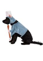 Disney Pixar Pet Remy Costume Alt 3