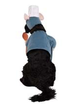 Disney Pixar Pet Remy Costume Alt 4