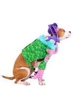Disney Pixar Monsters Inc Pet Celia Costume Alt 3