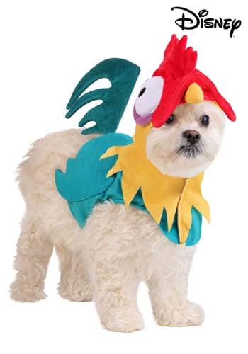 Disney Moana Pet Hei Hei Costume