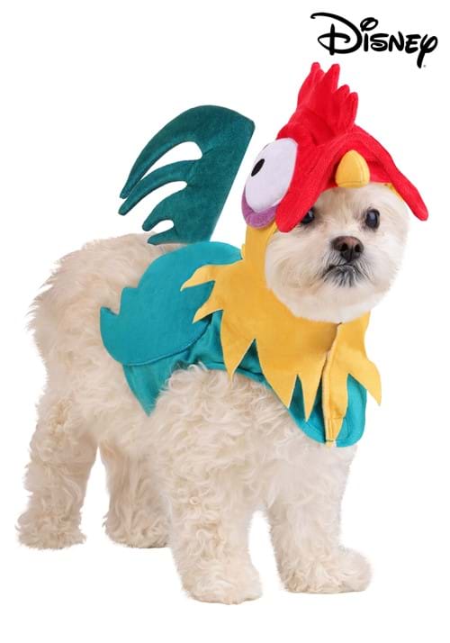 Disney Moana Pet Hei Hei Costume