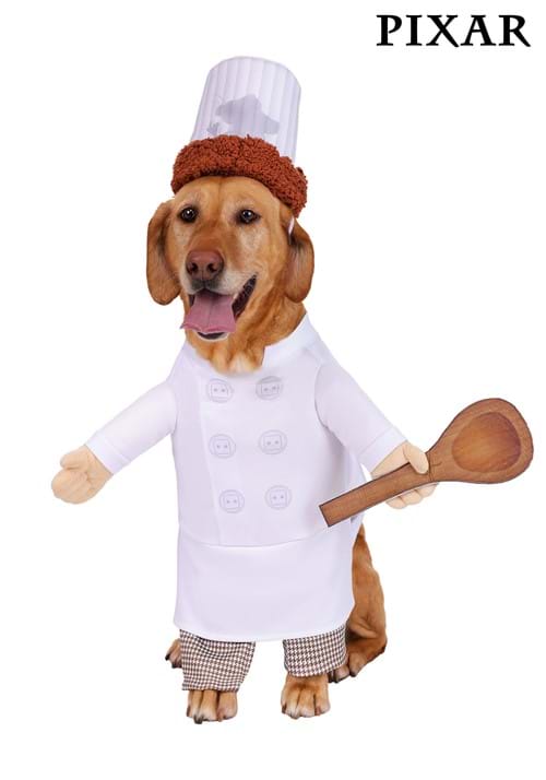 Disney Pixar Ratatouille Alfredo Linguini Pet Costume
