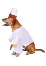 Disney Pixar Ratatouille Alfredo Linguini Pet Costume Alt 2