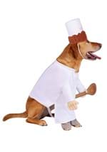 Disney Pixar Ratatouille Alfredo Linguini Pet Costume Alt 3