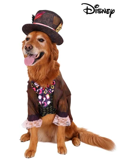 Live Action Disney Mad Hatter Costume for Pets