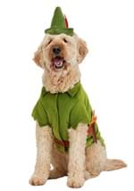 Disney Pet Peter Pan Costume Alt 1