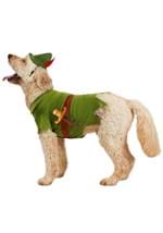 Disney Pet Peter Pan Costume Alt 3