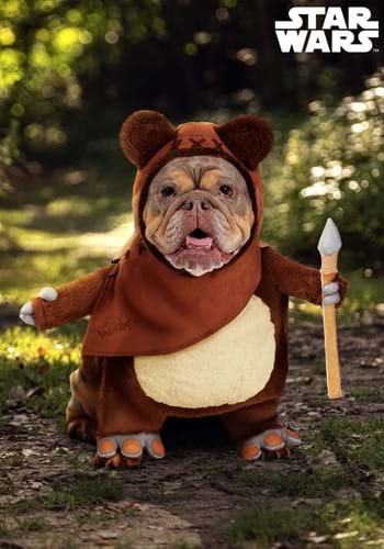 Star Wars Ewok Costume for Pets UPD