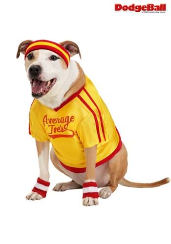 Dodgeball Pet Average Joes Costume