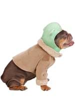 Star Wars Grogu Pet Costume Alt 3
