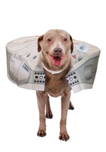 Star Wars Millennium Falcon Dog Costume Alt 1